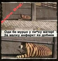 FB_IMG_1686471343780.jpg