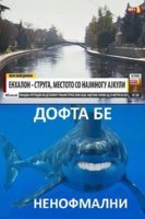 IMG_2477.jpeg