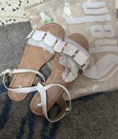 IMG_2538.jpeg