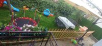 IMG_20230616_103119.jpg