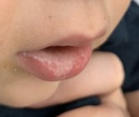 IMG_7015.jpeg