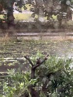 IMG_7056.jpeg