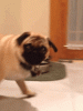 tumblr_mcny45SRgd1rjgt8co1_250.gif