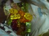 DSC01700.JPG
