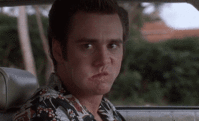 jealous-jim-carrey-5eg6e3unqiebuqig.gif