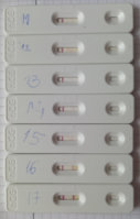 test 2.jpg
