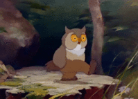 ImpureRaggedAuk-size_restricted.gif