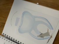 IMG_3730.jpeg