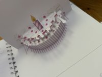 IMG_3732.jpeg