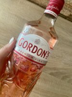 IMG_6382.jpeg