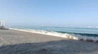 IMG_20230726_103232.jpg