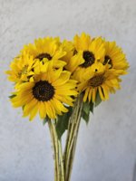 20230729_104719.jpg