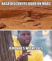 FB_IMG_1691098453346.jpg