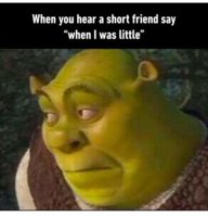 FB_IMG_1691249545667.jpg