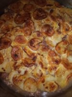 IMG_20230520_180731.jpg