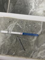 IMG_5006.jpeg