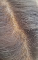 20230818_163111.jpg