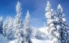 Winter_Wonderland_Scene,_Canada.jpg