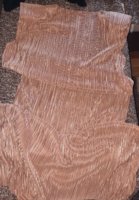 20230826_161059.jpg