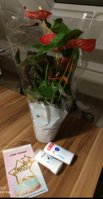 IMG_20230830_094702.jpg