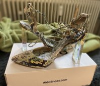 IMG_2443.jpeg