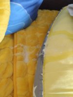 IMG_20230901_084921.jpg