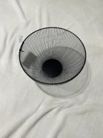 IMG_5785.jpeg