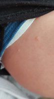 IMG_20230930_220116.jpg