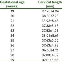 Descriptive-statistics-of-uterine-cervical-length-measurements-across-gestational-age_Q320.jpg