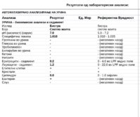IMG_0330.jpeg