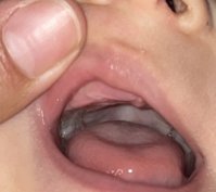 IMG_1133.jpeg