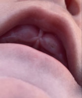 2ED8E396-BE9D-419B-810D-D587985A81FD.jpeg