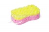 dep_6135504-Colorful-shower-sponge.jpg