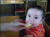 1232547444_baby eats lemon.gif