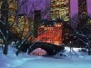 central-park-in-winter-new-york-city.jpg