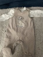 IMG_2948.jpeg