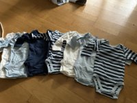 IMG_2942.jpeg