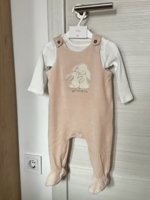 IMG_2208.jpeg