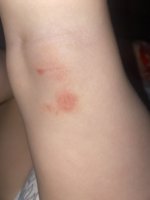 IMG_1123.jpeg