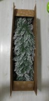 IMG_2584.jpeg
