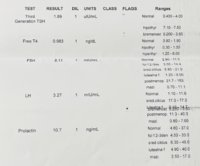 IMG_8993.jpeg