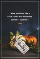 thanksgiving-quotes20213-1628019337.jpg
