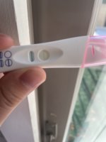 IMG_0213.jpeg