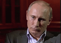 putin-facepalm hehehaha.gif