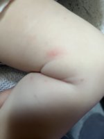 IMG_1247.jpeg