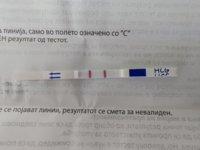 IMG-0c98f505a5eff541154dc8d51c786cf4-V.jpg