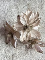 IMG_0371.jpeg