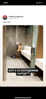 IMG_0339.png