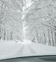 IMG_6175.jpeg