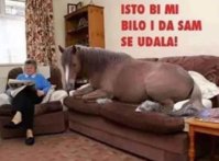 FB_IMG_1682683058856.jpg